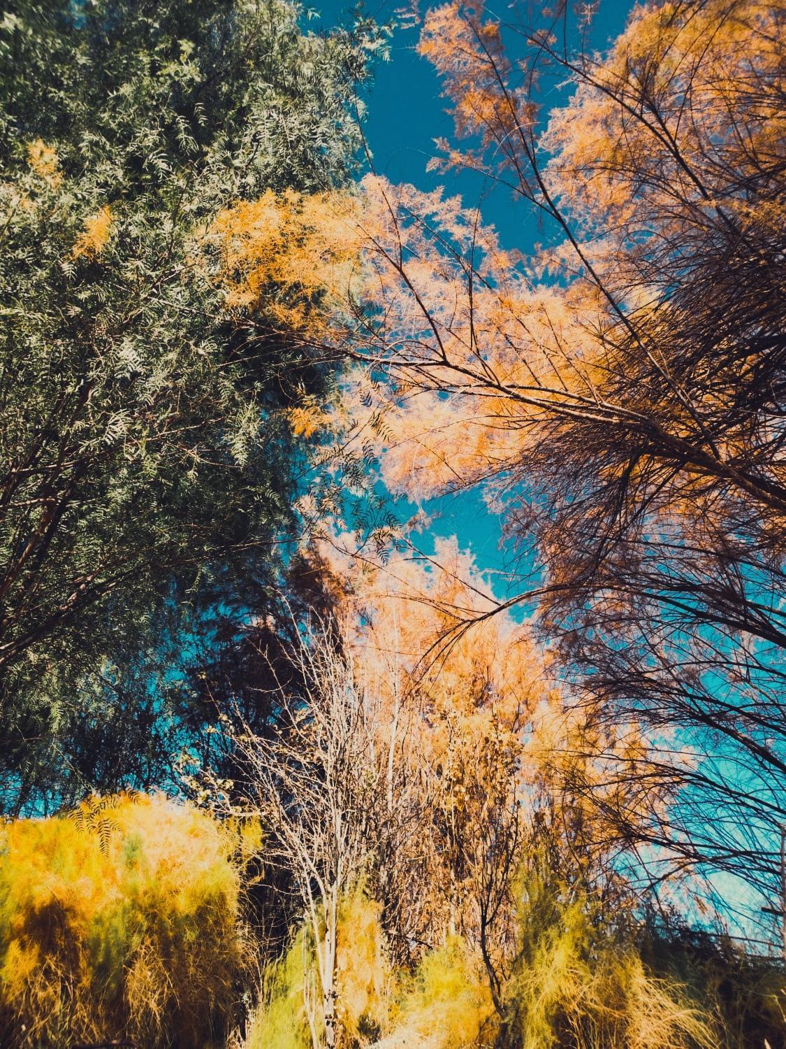 Suri Atacama - Eco H&T ξενώνας Σαν Πέδρο ντε Ατακάμα Εξωτερικό φωτογραφία